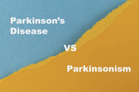 Zum Artikel "ID 2402: Diagnosis of patients with Atypical Parkinsonism using IMUs"