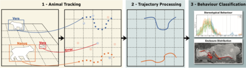 Towards entry "New Publication: “Automated long-term monitoring of stereotypical movement in polar bears under human care using machine learning”"